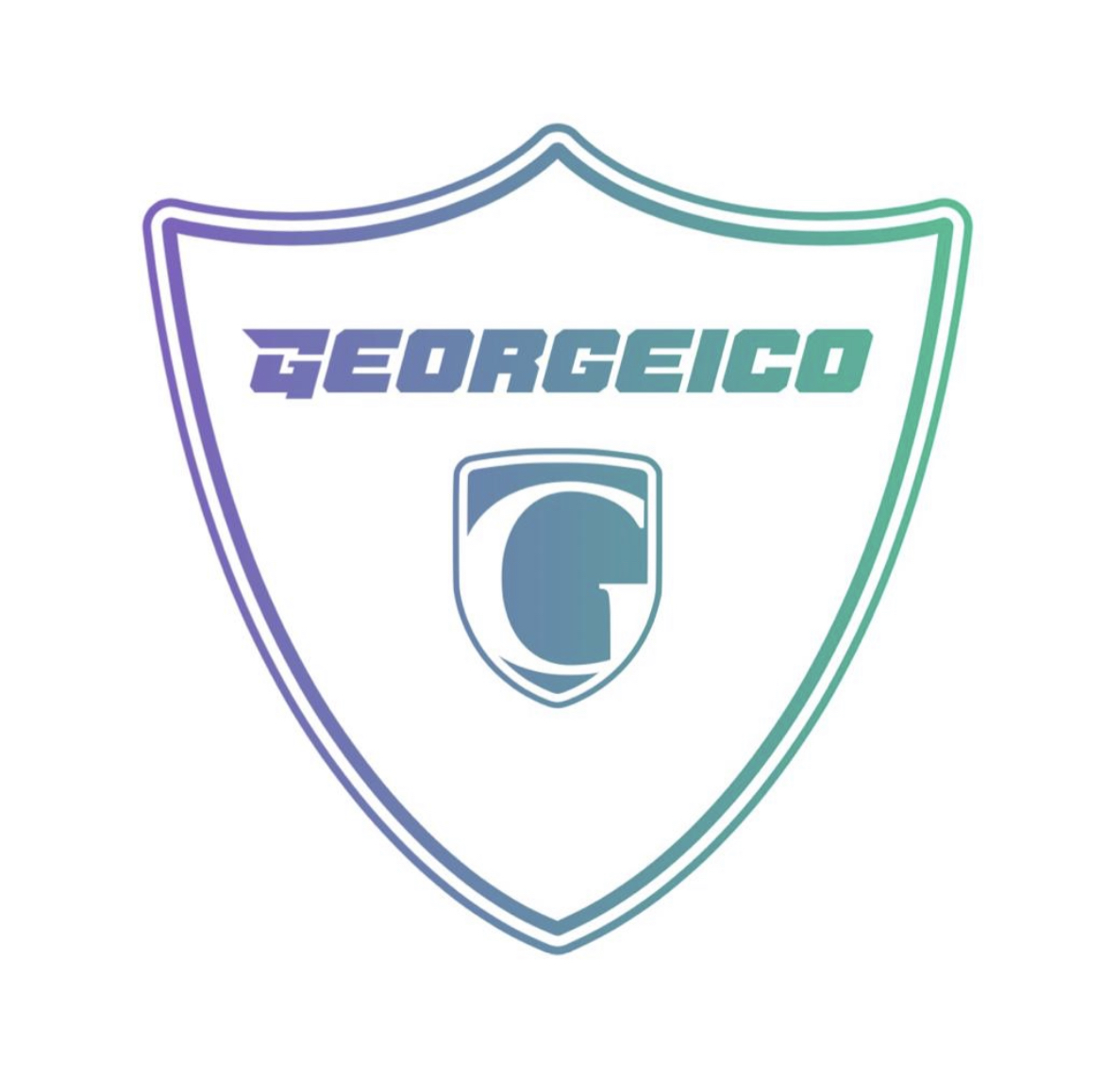 www.GEORGEICO.com